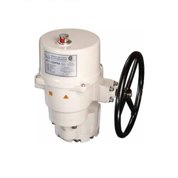 Bộ điện điều khiển P11-AC Promation